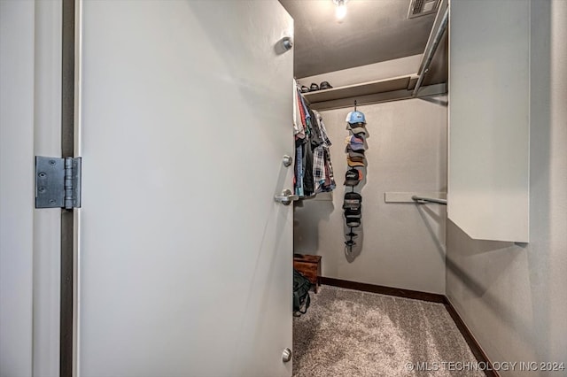 walk in closet with carpet flooring