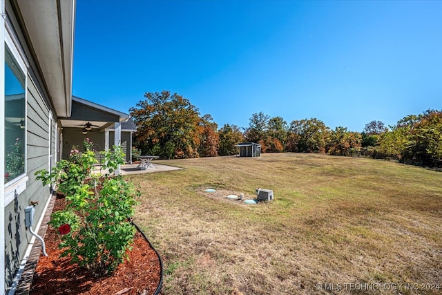 view of yard featuring a patio, ceiling fan, and a storage unit