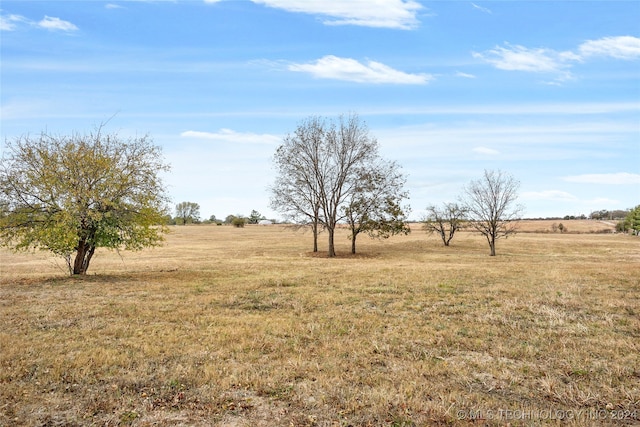 view of yard with a rural view