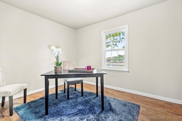 office featuring hardwood / wood-style flooring