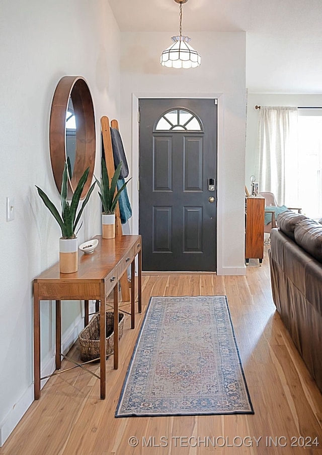 entrance foyer featuring light hardwood / wood-style floors