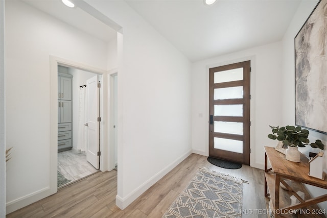 entrance foyer with light hardwood / wood-style flooring