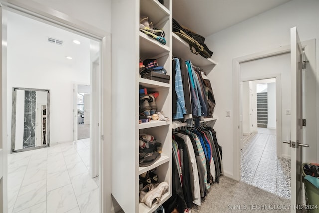 walk in closet with light colored carpet