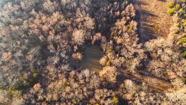 birds eye view of property with a wooded view