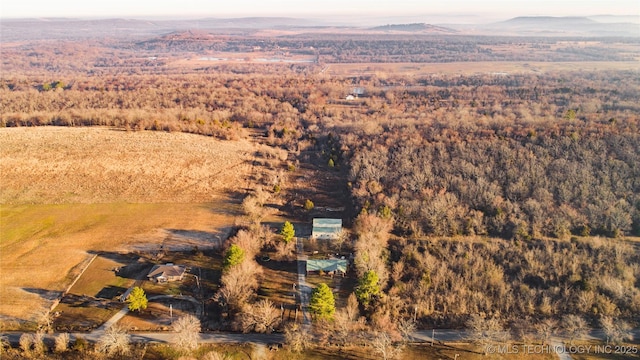 bird's eye view featuring a mountain view and a view of trees