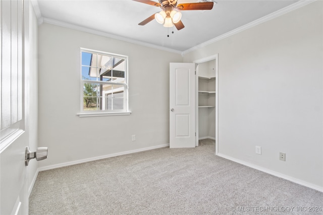 unfurnished bedroom with a closet, carpet, a spacious closet, ornamental molding, and ceiling fan