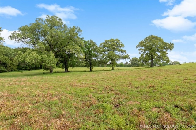 view of yard featuring a rural view