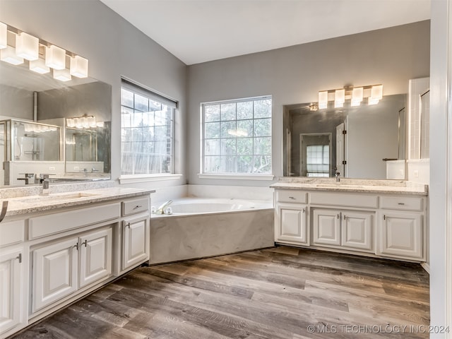 bathroom with vanity, wood-type flooring, and plus walk in shower