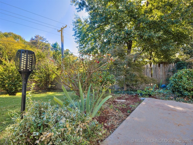 view of yard featuring a patio