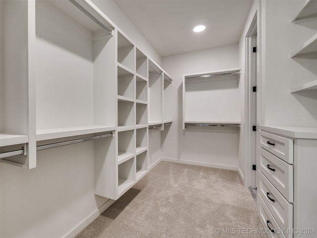 walk in closet with light colored carpet