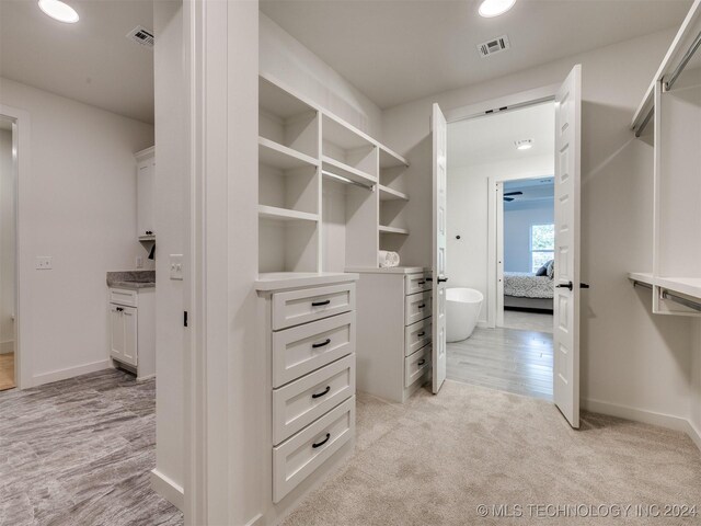 spacious closet with light carpet