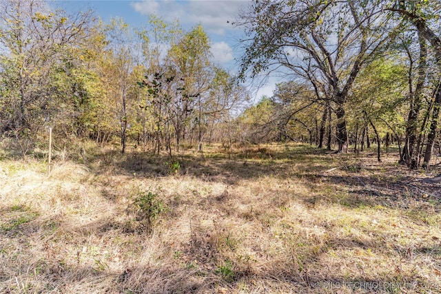 view of local wilderness