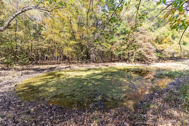 view of yard with a water view