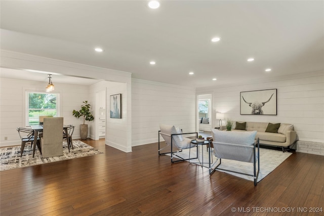 living room with dark hardwood / wood-style flooring