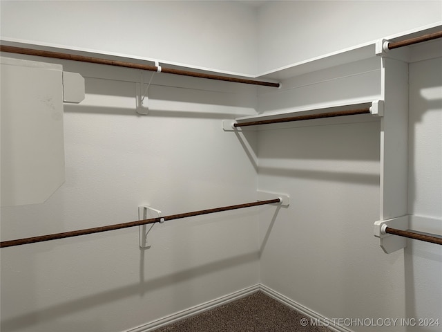 walk in closet featuring carpet