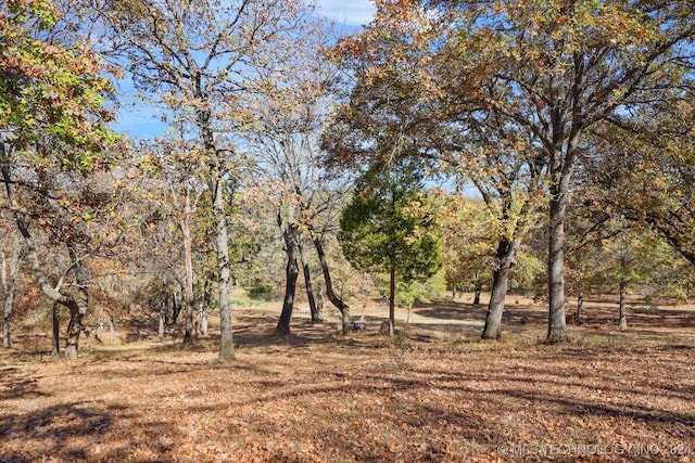 view of local wilderness