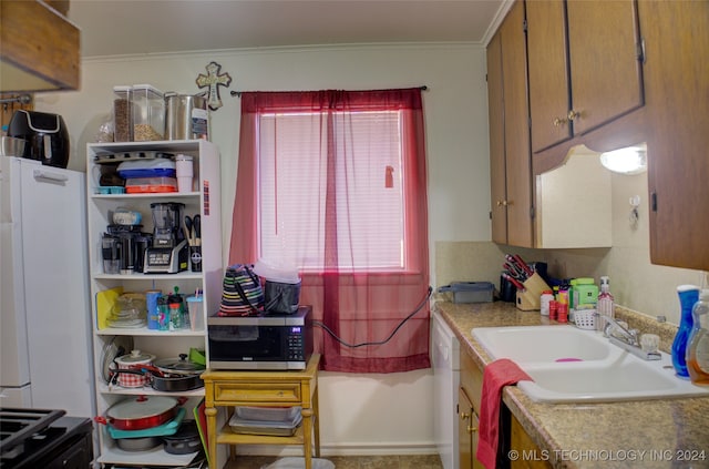 kitchen with a wealth of natural light, sink, white fridge, and ornamental molding