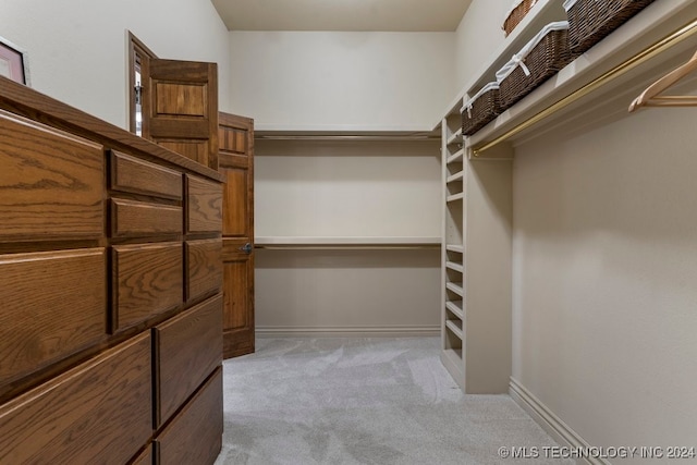 spacious closet with light colored carpet