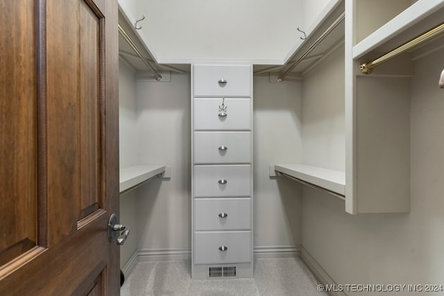 walk in closet with carpet floors