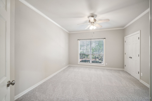 carpeted spare room featuring ceiling fan and ornamental molding