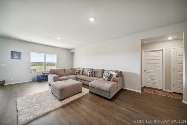 living room with dark hardwood / wood-style flooring