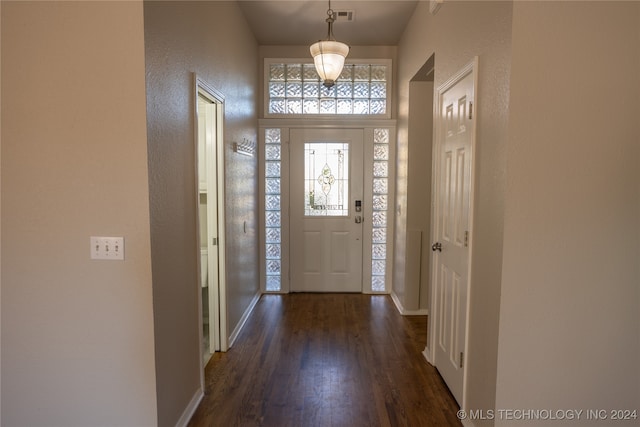 entrance foyer with dark wood-type flooring