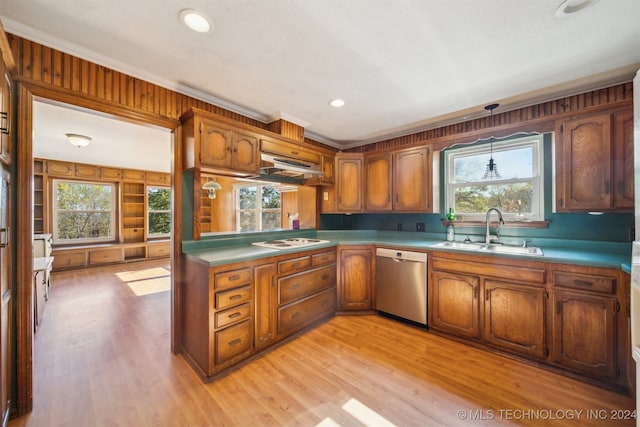 kitchen featuring stainless steel dishwasher, plenty of natural light, and sink