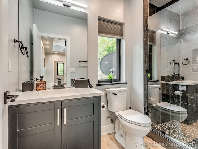 bathroom with a shower with door, vanity, and toilet