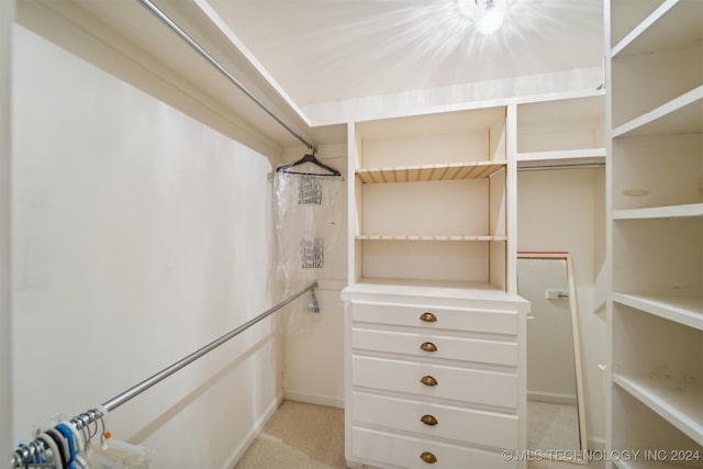 spacious closet with light colored carpet