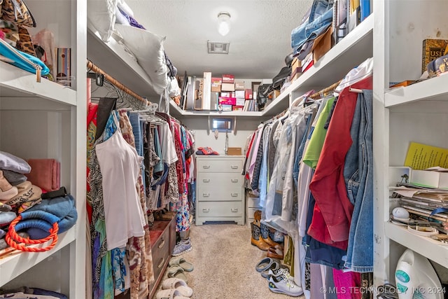 spacious closet with light carpet