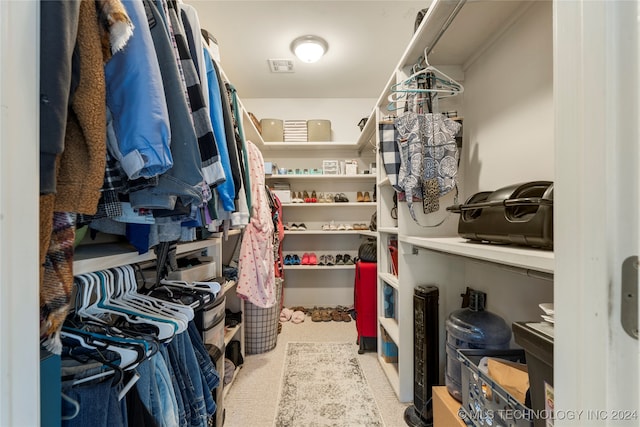 walk in closet with light colored carpet