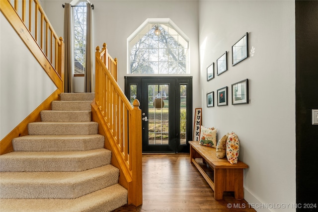 foyer with a towering ceiling and wood-type flooring