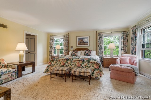 carpeted bedroom with multiple windows and crown molding