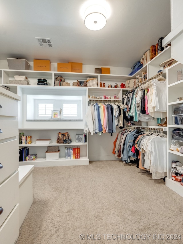 spacious closet with carpet flooring