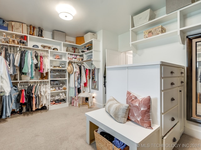 walk in closet with light colored carpet