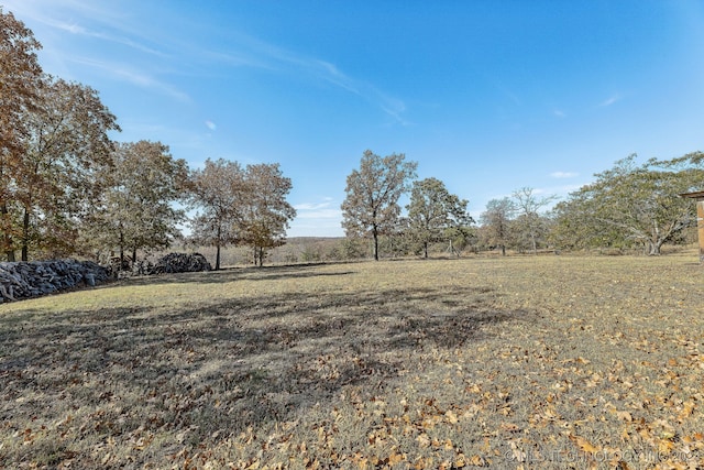 view of yard with a rural view