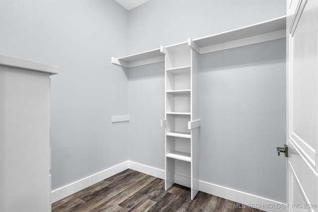 walk in closet featuring dark wood-type flooring