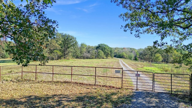 view of yard featuring a rural view