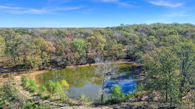 property view of water