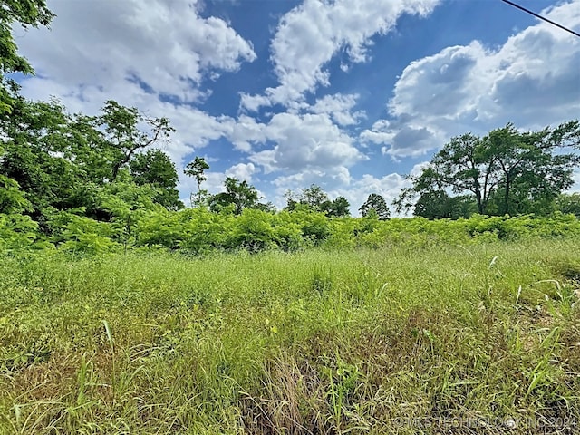 view of nature