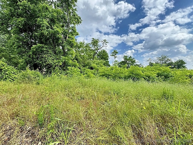 view of local wilderness