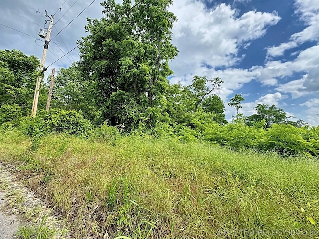 view of local wilderness