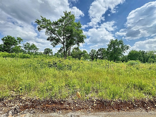 view of local wilderness