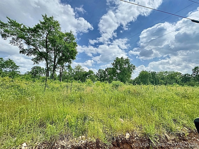 view of local wilderness