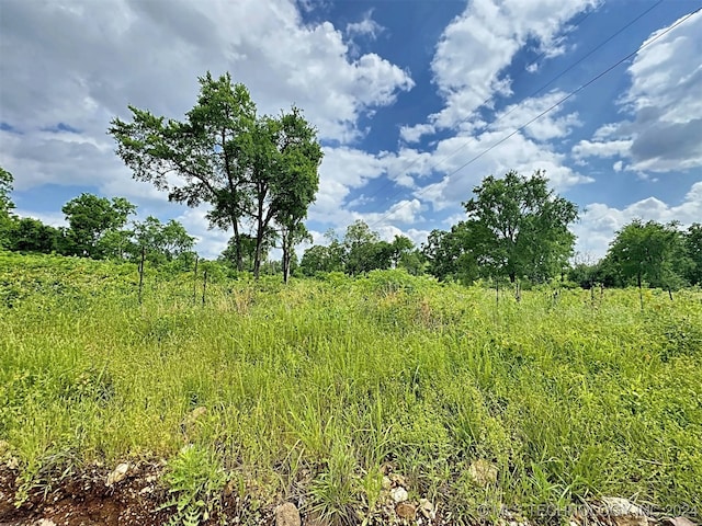 view of local wilderness with a rural view