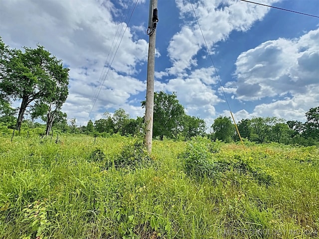 view of local wilderness