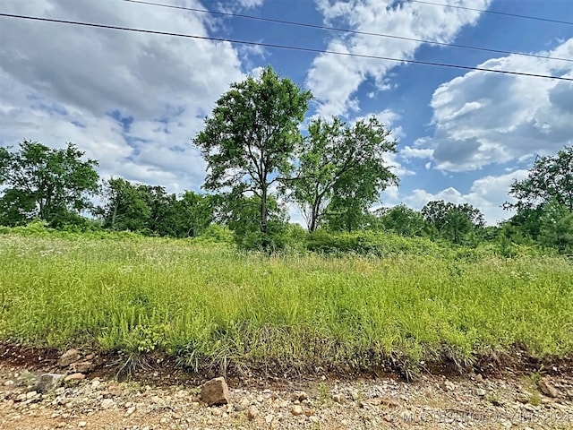 view of local wilderness