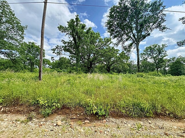 view of landscape