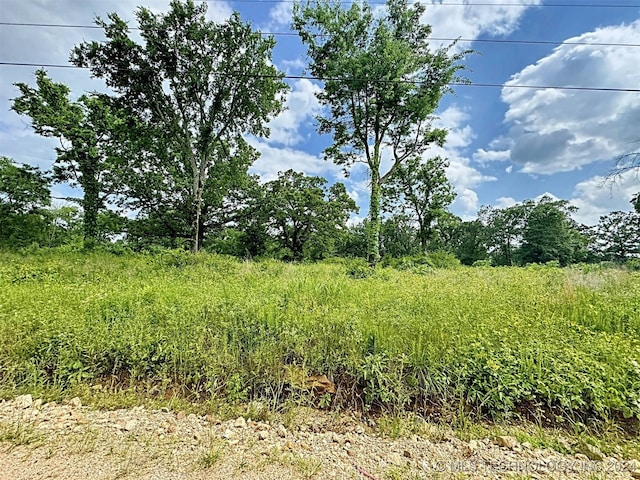 view of landscape