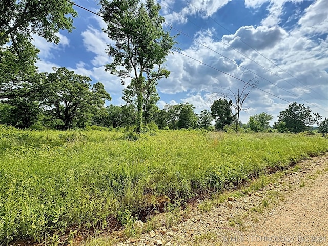 view of local wilderness